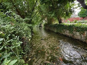 Brook- click for photo gallery